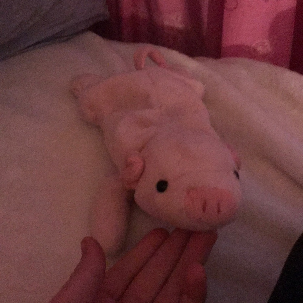 I am selling a pig